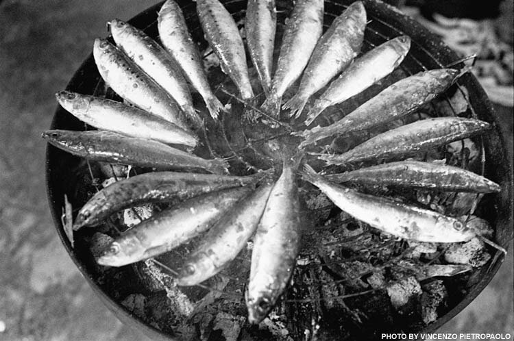 Sardines on a grill, 2000. - Photo courtesy: Vincenzo Pietropaolo
