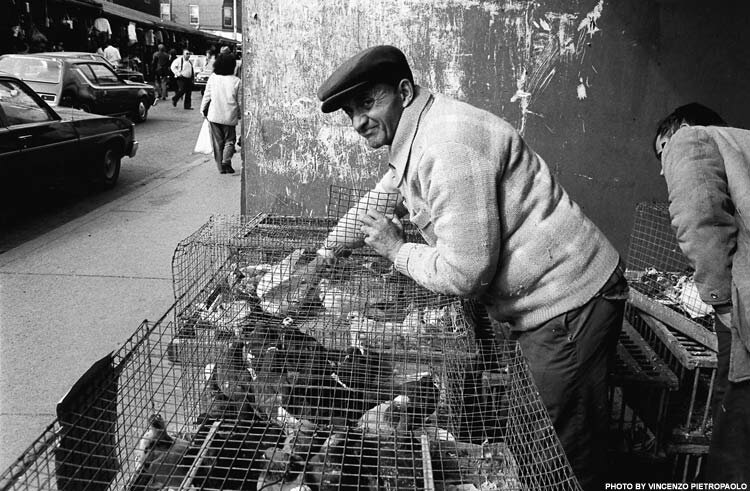 Selling pigeons on Augusta Avenue, 1981. - Photo courtesy: Vincenzo Pietropaolo