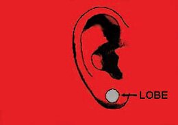 This is a picture depicting the lobe piercing. This is the most common of all the ear piercings and is located on the lobe of the ear.